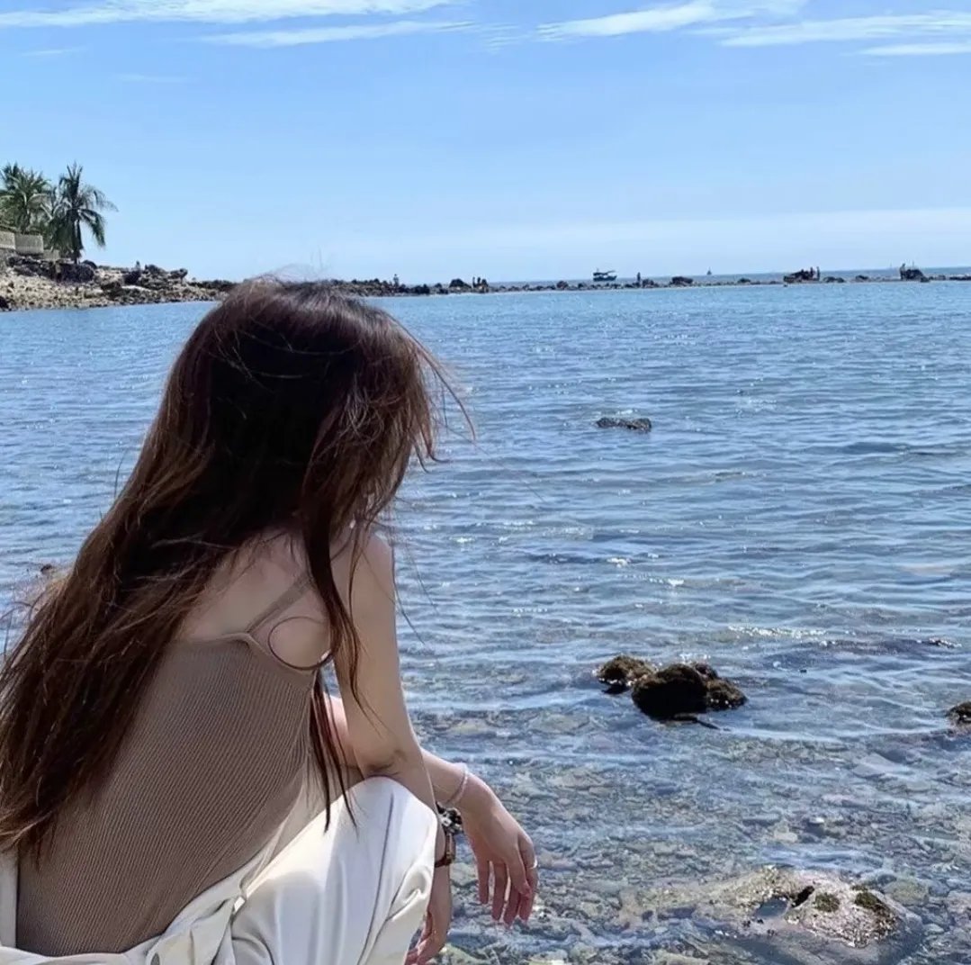 挪威的抵抗
